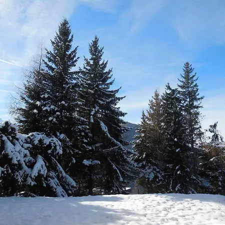 Datcha * Peisey-Nancroix